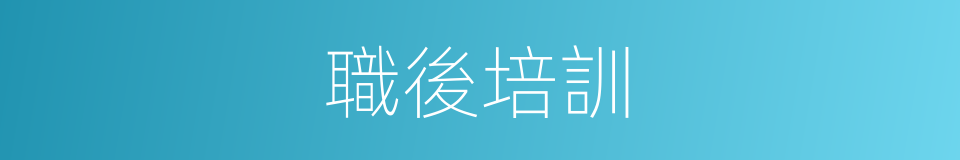 職後培訓的同義詞