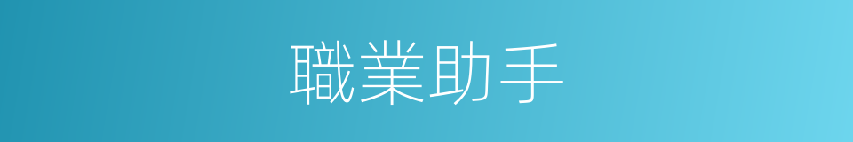 職業助手的同義詞