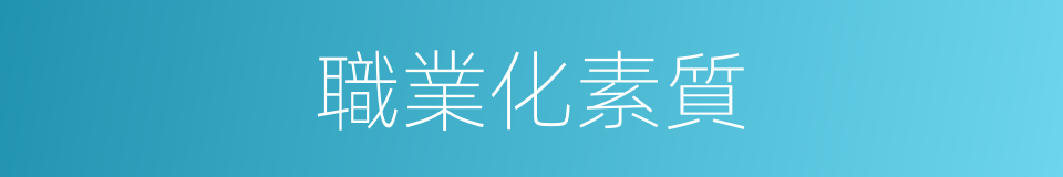 職業化素質的同義詞