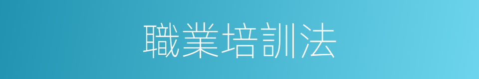 職業培訓法的同義詞