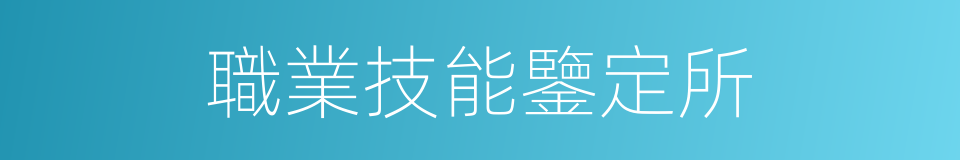 職業技能鑒定所的同義詞