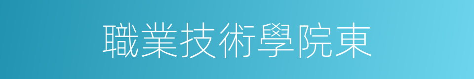 職業技術學院東的同義詞