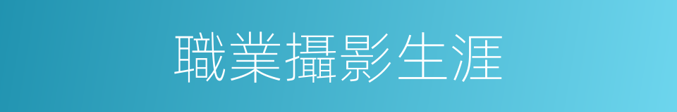 職業攝影生涯的同義詞