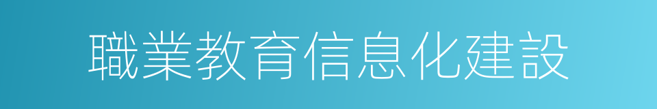 職業教育信息化建設的同義詞