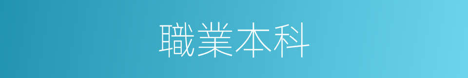 職業本科的意思