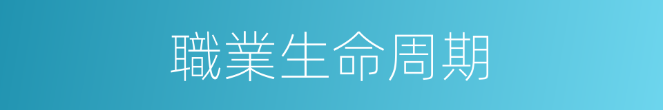 職業生命周期的同義詞