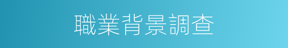 職業背景調查的同義詞