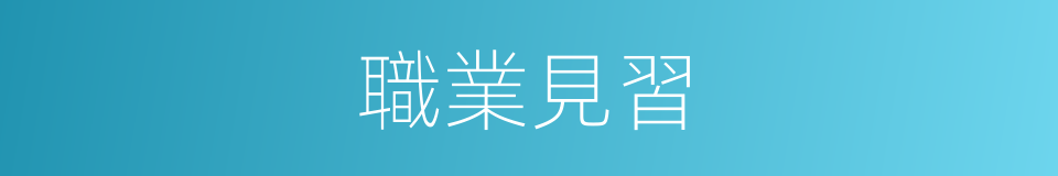 職業見習的同義詞