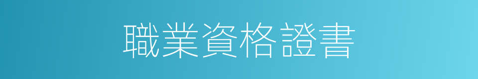 職業資格證書的同義詞