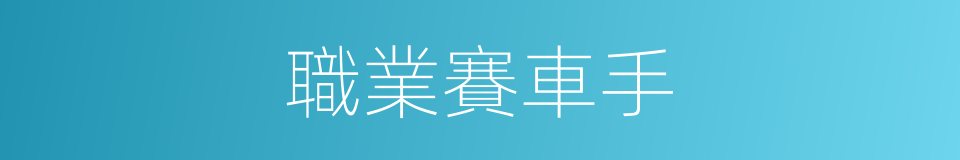 職業賽車手的同義詞