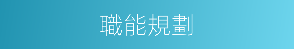 職能規劃的同義詞