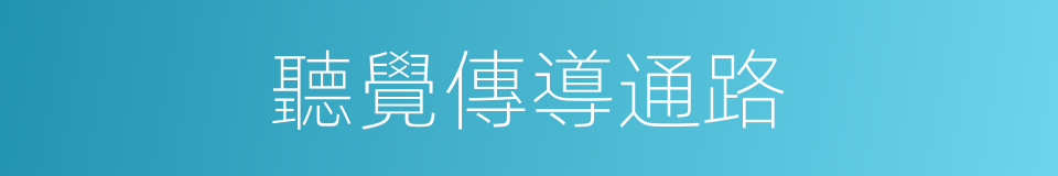 聽覺傳導通路的同義詞