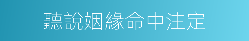 聽說姻緣命中注定的同義詞