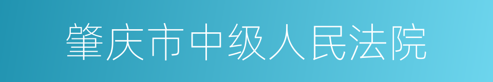 肇庆市中级人民法院的同义词