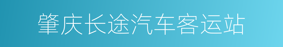 肇庆长途汽车客运站的同义词