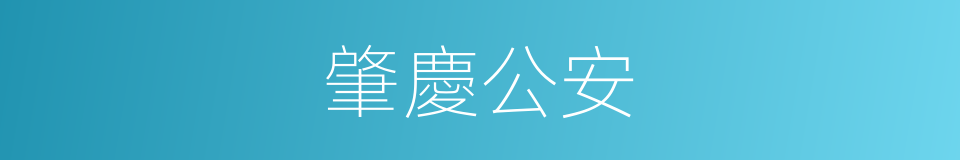 肇慶公安的同義詞