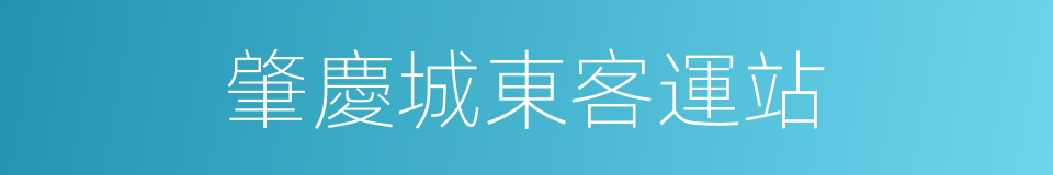 肇慶城東客運站的同義詞