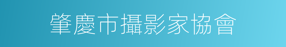 肇慶市攝影家協會的同義詞