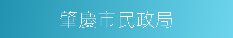 肇慶市民政局的同義詞