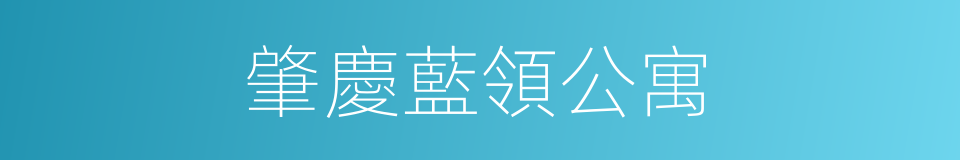肇慶藍領公寓的同義詞