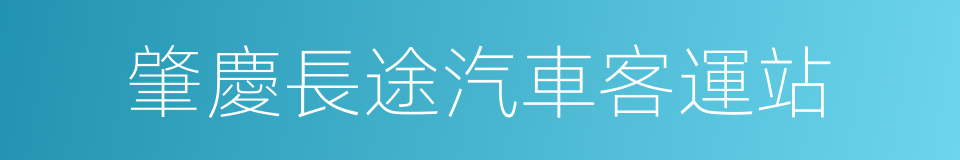 肇慶長途汽車客運站的同義詞