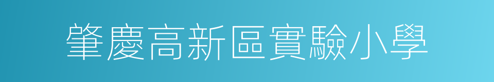 肇慶高新區實驗小學的同義詞