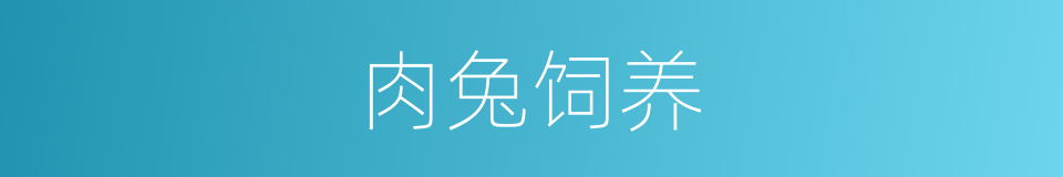 肉兔饲养的同义词