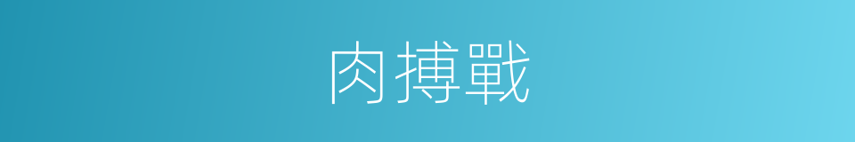 肉搏戰的意思