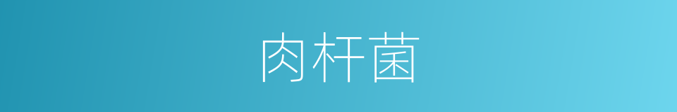 肉杆菌的同义词