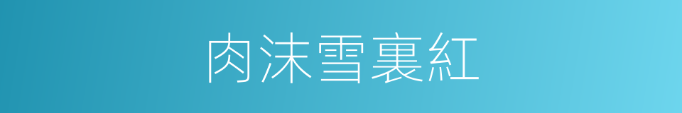 肉沫雪裏紅的同義詞