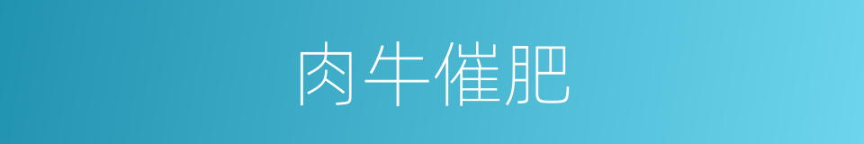 肉牛催肥的同义词