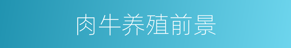肉牛养殖前景的同义词