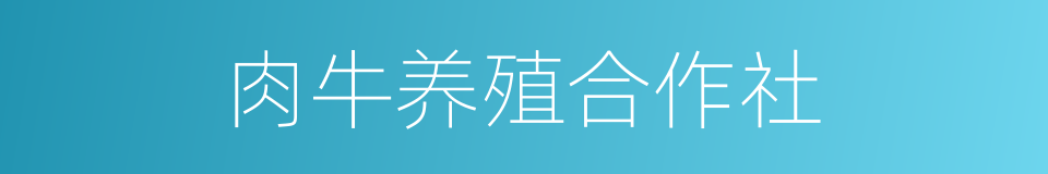 肉牛养殖合作社的同义词