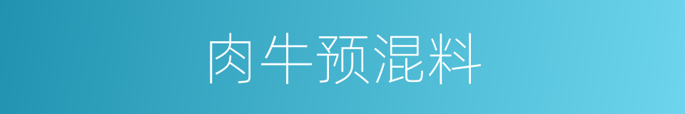 肉牛预混料的同义词