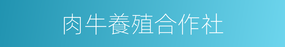 肉牛養殖合作社的同義詞