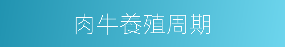 肉牛養殖周期的同義詞
