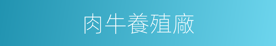 肉牛養殖廠的同義詞