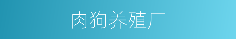 肉狗养殖厂的同义词