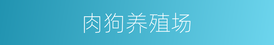 肉狗养殖场的同义词