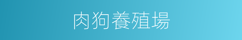 肉狗養殖場的同義詞