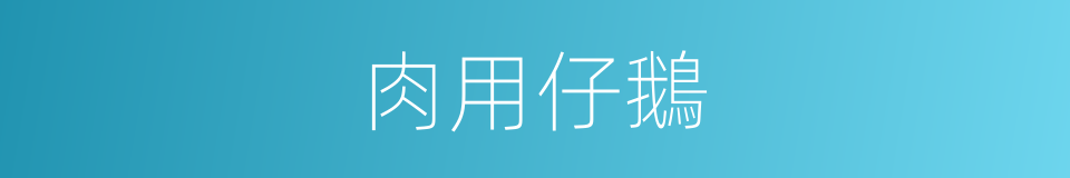 肉用仔鵝的同義詞