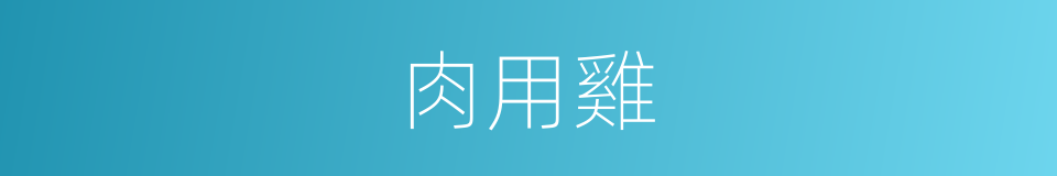 肉用雞的意思