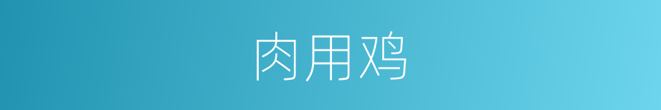 肉用鸡的意思