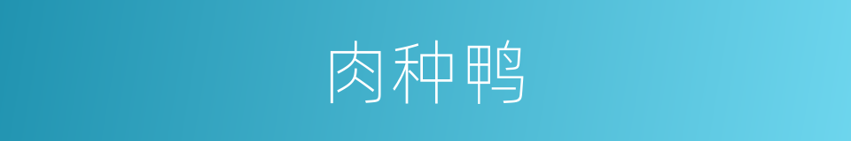 肉种鸭的同义词