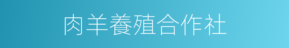 肉羊養殖合作社的同義詞