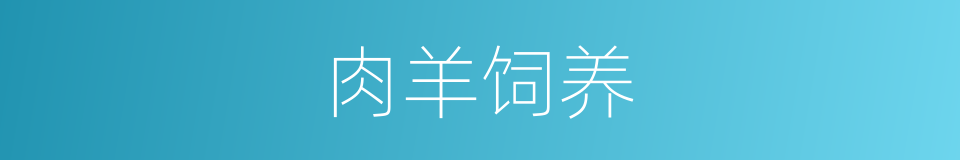 肉羊饲养的同义词