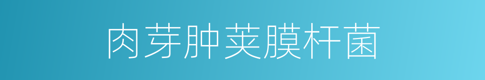 肉芽肿荚膜杆菌的同义词