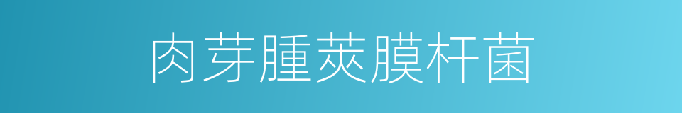 肉芽腫莢膜杆菌的同義詞