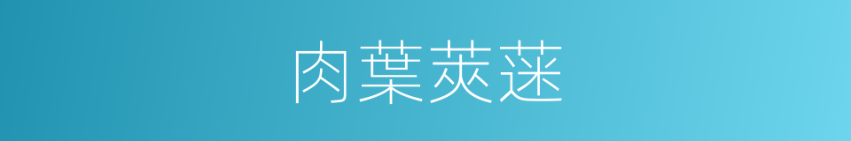 肉葉莢蒾的同義詞