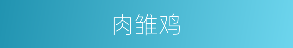 肉雏鸡的同义词